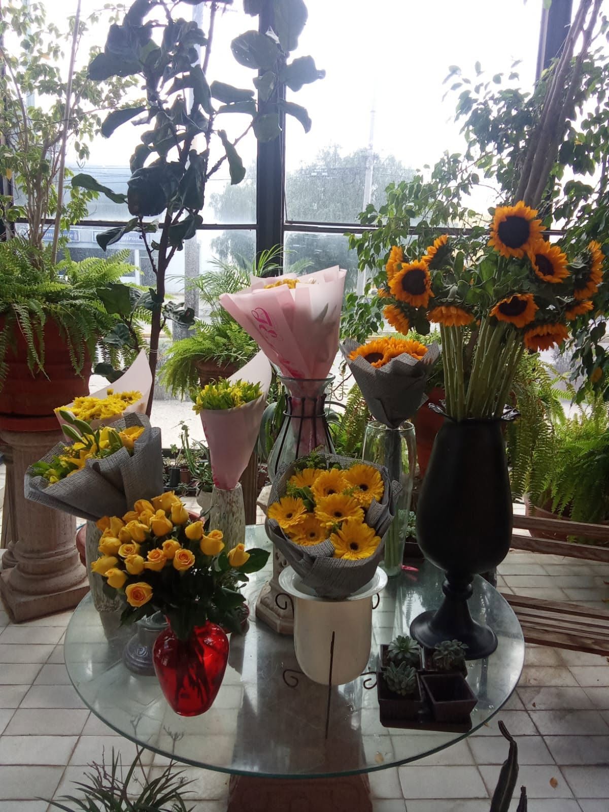 Interior de la florería Francis con ramos de girasoles, rosas amarillas y plantas junto al ventanal