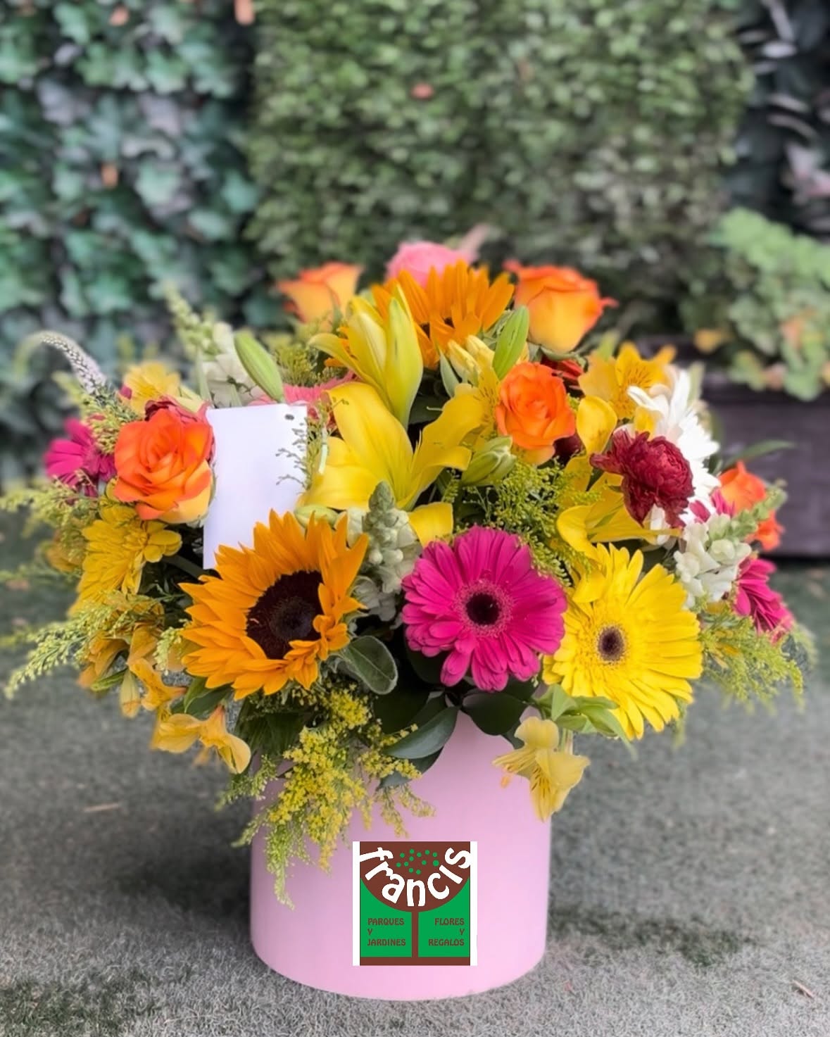 Arreglo floral colorido con girasoles y gerberas en caja rosa de Francis